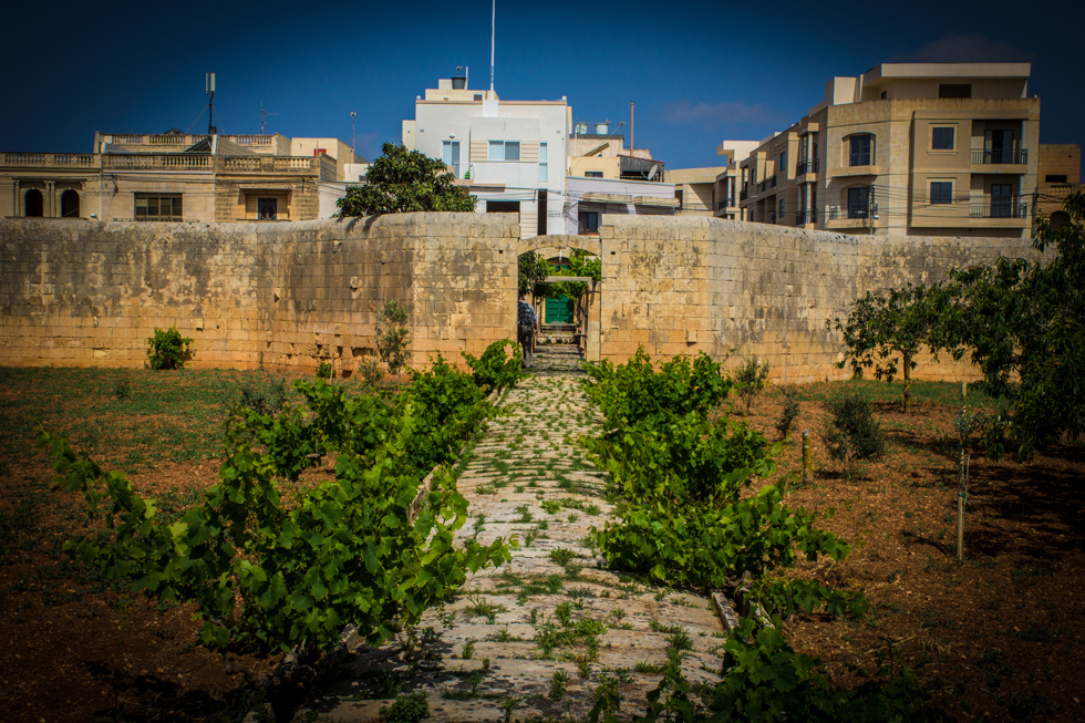 Ġnien tal-Kmand